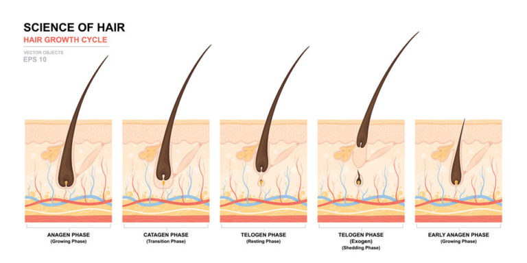 How Does Laser Hair Removal Work - Will Laser Hair Removal Get Rid of Strawberry Legs?